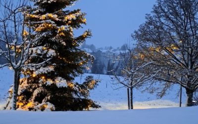 Ensemble, vers une fin d’année douce et lumineuse